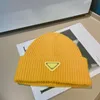 P Tasarımcı Erkek Kadınlar Beanie Beanie Lüks Dökme Kazak Örgü Şapka Kayıt UNISEX KIŞ KAYNAK DIŞ MODA YÜKSEK KALİTE KALIPLARI 16 ROYAL