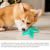 Starfish Dog masticò giocattolo cigolio grande cani spazzolino da denti interattivo per animali domestici cure dentali per la pulizia del dente molare stick elastico