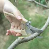 Rostfritt stål beskärningstång gren SHEARS Plockning av fruktblommaträd sax trädgårdsgrenar ympning trädgårdsskötsel sax verktyg