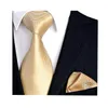 Ensembles de cravates, vente en gros, cravates faites à la main pour hommes, carré de poche, 100% soie Jacquard tissé Hanky SY222