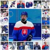 Simon Nemec Ice Hockey Jersey Custom Vintage Slowak Extraliga Hk Hokejovy Klub Nitra Jersey 2021 IIHF Wereldkampioenschap Jerseys 2021 Hlinka Gretzky gestikte Draft