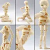 Type d'action complète spéciale3 SFBT3 29cm Figure Figure Body Module Collection Gifts H22040875453663936347