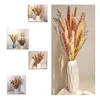 Guirnaldas de flores decorativas Manojo de eucalipto seco natural Colorido Lagurus Ovatus Ramo real para bricolaje Hogar Suministros de boda Decoración Ohristm