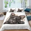 Bulldog Duvet Capa Conjunto de bulldogs franceses Bedding Twin Size Chocolate Puppy Pet Pet Doggy Animal Colcha para Dog Lover Gifts