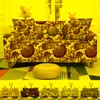 Крышка стула с рисунком распределительной крышка коралловой эластичный скольжение для гостиной на диван