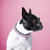 Crystal Dog Collars Gioielli Bling Gemstone Cane Collar per cani per piccoli cani Medium Cucciolo di tazza da tè Chihuahua Yorkie Bulldog francese BULLDOG BULLAGIMENTO ROSSO L B146
