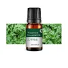 10 ml 0.33 Fl.OZ Pure Wormwood Essential Oil Pure Natural for Nourishing and Hydration Portable at Home Spa Elitzia