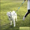 大小のPLのための犬のリーシュトラクションロープペットハーネス調整可能ベストクラシックランニングトレーニングカラードロップ配信