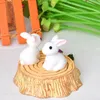 10 datorer härlig miniatyr trädgård mini kanin harts sagan prydnad blomma växt potten hem figur djurdekor leverans 220628