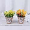 1 Set künstliche Pflanze Party Dekorative Blume Home Dekoration gefälschte kleine Mini -Topf -Bonsai -grüne Pflanze mit Vase