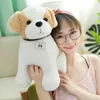 22cm Kawaii Teddy Köpek Peluş Oyuncaklar Güzel Dolgulu Gerçek Hayat Husky Köpek Bebekleri Çocuklar İçin Bebek Doğum Günü Hediyeleri