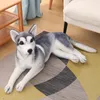 Simulazione Animale Husky Peluche Cane Gigante Bambola Realistica Cucciolo Giocattoli per Ragazzo Ragazza Regalo Di Compleanno 35 pollici 90 cm DY10069