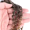 8 Zoll Passion Twist Haar Kurzes Marlybob Häkelhaar Synthetische Ombre Flechten Haarverlängerungen Kleines Afro Verworrenes Lockiges Twist Geflecht LS05