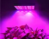 1000W طيف كامل LED LED LAMP 2PCs للنبات النمو خيمة خفيفة FITOLAMPY PHYTO UV IR RED RED 225 LED FLOWANT