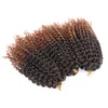 8 pouces Marlybob tressage cheveux crochet tresses Afro crépus bouclés Crochet Passion torsion organique Tress Extensions de cheveux LS05