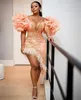 Aso Ebi Light Pink Sexy Prom Dresses Ruffle Sleeve Pearls Beaded V-Neck Short Cocktail Party Gowns Feather Sheath Special Occasion Dress For Black Girls 2022