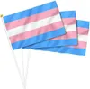 Bandeira do arco -íris de estoque Bandeira pequena mini mão bandida stick gay lgbt party decorações de festas para desfiles festival