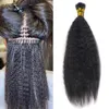 Human Hair Bulks Yaki Straight I Tip Microlinks Extensions 100% Virgin For Women Mongolian Kinky Bulk 1g/StrandHuman