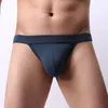 Underpants Men Sexy Underwear Nylon Brethable Panties Mesh Thong Male Cueca Tanga Low Rise Brief Man Penis Pouch Slip Homme Bikini TrunkUnde