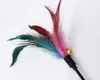 Cat Teaser Wand Toy Toy Interactive Pet Kitten Birds Feather Sticks com Bell