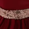Girl039s klänningar fast färg prinsessan kostym elegant formell barn spetsklänning för flickor1976917