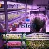 380-800NMフルスペクトルLEDグローライトLED Grows Grows Grows Tube 8ft T5 T8 V字型統合チューブ医療植物とブルームフルーツピンク色