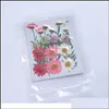 Gedroogde bloemen Home Geuren Decor Garden Kleine echte bloem droge planten voor kaarsen epoxy hars hanger ketting sieraden maken ambacht diy a j