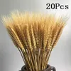 Декоративные цветы венки пшеница пампас травяная сена натуральные сушеные букеты для домашнего кухон