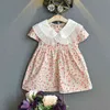 robe rose fille vêtements filles filles robe à la fraise pour bébé vêtements bébé princesse pêche raies de fleurs robes pour filles girl g220518