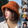 Brede rand hoeden faux bont emmer hoed verdikte warme winter voor vrouwen Koreaanse wol bob dame panama outdoor wandel fluwelen visser haatwide pros2