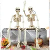 1pcs simulation durable humains squelette ornement Halloween fête salle secrète hantée horreur maison accessoires maison bar décoration 220707