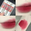 Lip Gloss Colors Pigment Matte Mud Tube Velvet Lipstick Langdurige en Cheek Dual Use Women Makeup CosmeticSlip Wish22