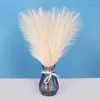 Flores decorativas grinaldas nórdicas 45cm Pampas artificiais ramo de grama falsa plantas pomposas de decoração estética Decoração de decoração de preenchimento caseiro em casa