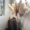 Decorative Flowers & Wreaths Large Pampas Grass 48"Dried Fluffy Natural Dried Home Boho Decor Country Wedding Pompas Floral DecorationD
