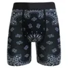 Mens Ice Polyester Boxer Shorts Printed Animation Comfortable Sports Running Boxer Underwear Short Pants283t