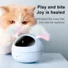 Jouet de chat de compagnie électrique LED Laser jouets interactifs Roly-poly Robot taquin plume jouets automatiques intelligents fournitures de chat 220423