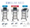 Emslim Pro Electro Magnetic OEM 뷰티 고강도 공기 냉각 근육 조각 슬리밍 머신 자극