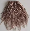 Blond kinky Curly Puff Ponytail Human Hair Extension Blond Pony Tail Extension Drawstring Clip i Long Afro Hairpiece Celebrity Hairstyle 120g