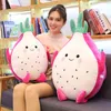 Linda linda Kawaii Dragon Fruit Cuddle encheu Pitaya Doll Doll Cartoon Sleep Pillow Gift for Kids Baby Girl J220704