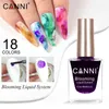 NXY Nagelgel Canni 18 Farben Blooming Liquid Air Dry Art Design Supply Wassertinte Raucheffekt Lackierlack 0328