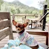 Bulldog francês designer de luxo pet clássico cão vestuário verão moda t camisa curta seção algodão teddy gato duas pernas feminino middl2383
