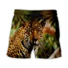 Мужские шорты мужчины/ женщины 3D -печать повседневные животные/ леопардовые/ тигровые уличная одежда для моды.