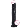 NXY Dildos Female suction cup thick artificial penis 5 5cm long cock anal plug male doll fake JJ adult products 220607