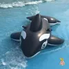 Utomhusuppblåsbar hajmadrass Swimming Pool PVC Floating Toys Water Spela flottör rör stora hajar Bouncer Children Water Park Toy