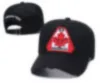 Embroidery New Baseball Hat Men Women Cotton Cap Snapback Caps Adjustable hat Fashion Luxury Hip Hop Hats C-15