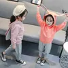 Girls Clothes Solid Hoddies Pants Costume For Girls Spring Autumn Girl Set Casual Style Tracksuits For Children 210412