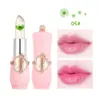 Lip Gloss Moisturizer Transparent Jelly Flower Lipstick Temperature Color Change Waterproof Makeup Cosmetic ToolLipLip Wish22