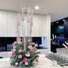 Party Decoration Whole 10 Arms Long Stemmed Modern Clear Acrylic Tube Hurricane Crystal Candle Holders Wedding Table Centerpie223A