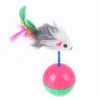 20 шт. Cat Toy Kit Складной Туннель Крытый котенок Интерактивный тизер Палочка мыши мяч ПЭТ весело канал Crinkle Ball Cat Saceates 220423