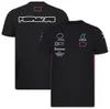 T-shirt F1 pour hommes, POLO de course à revers, uniforme d'équipe de nouvelle saison, personnalisé, décontracté, respirant, vêtements à séchage rapide